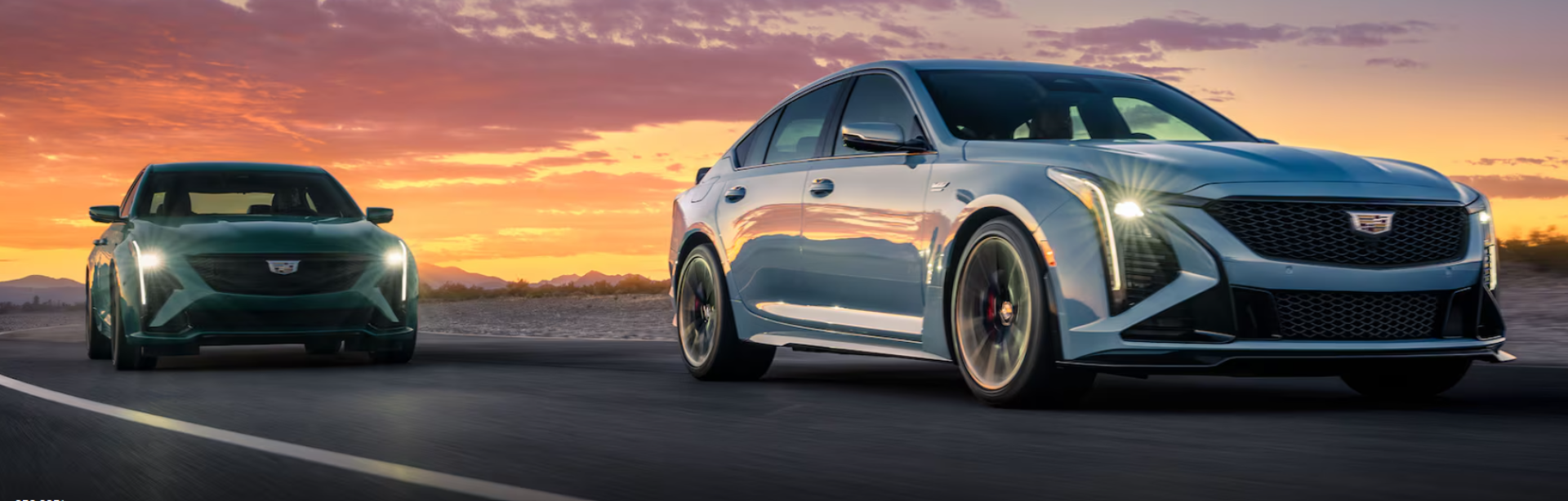 Dimmitt Cadillac of St. Petersburg Blog - Dimmitt Cadillac of St