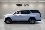 2023 Cadillac Escalade Premium Luxury Platinum