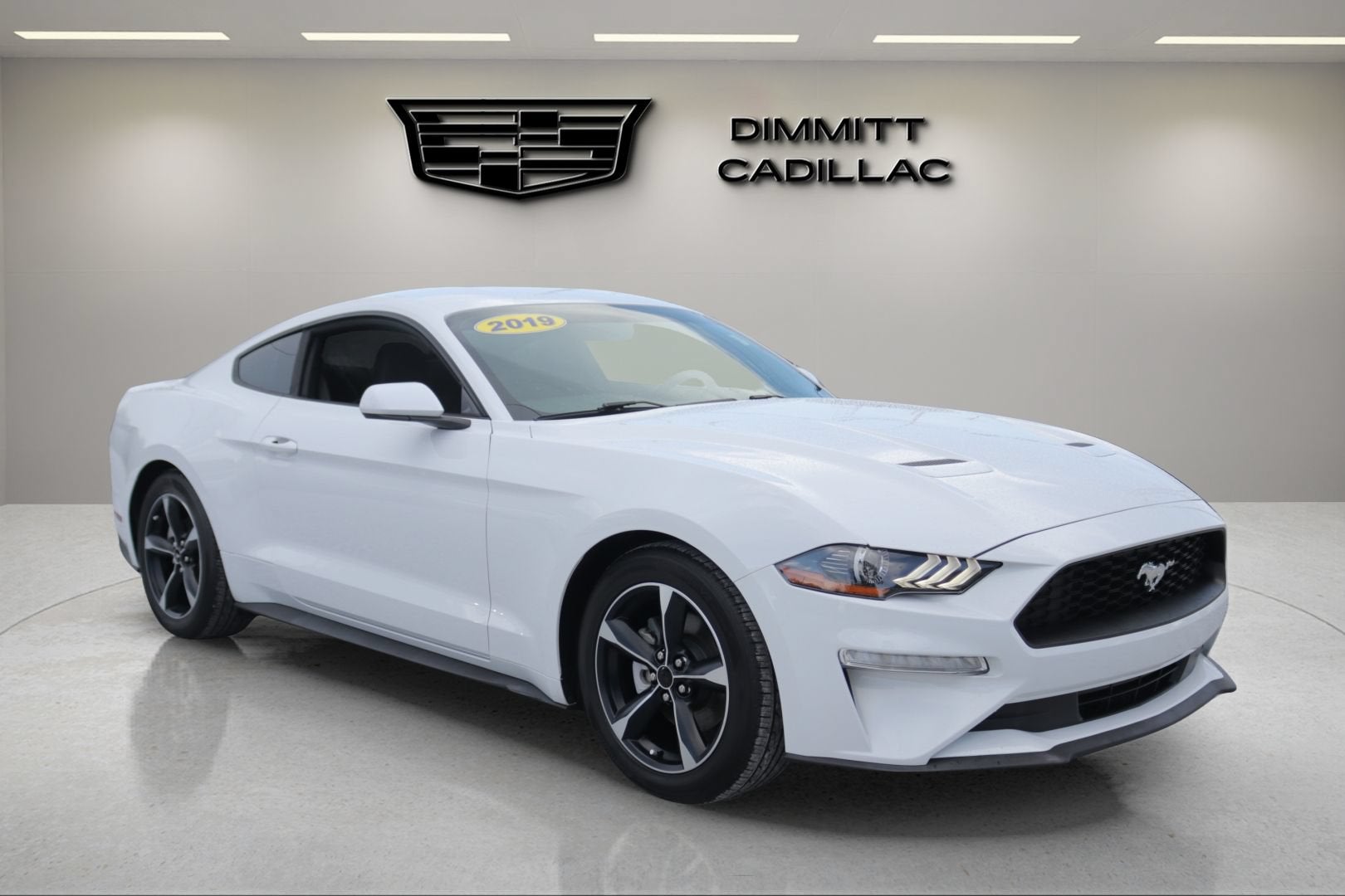 2019 Ford Mustang EcoBoost
