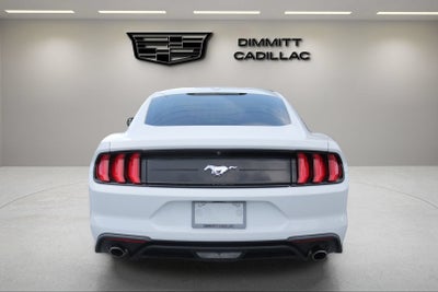 2019 Ford Mustang EcoBoost