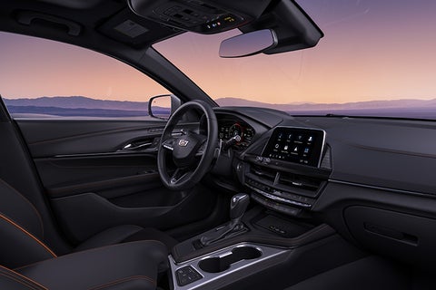 Dimmitt Cadillac of St. Petersburg