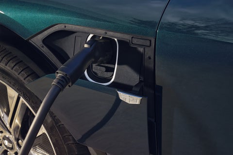 Dimmitt Cadillac of St. Petersburg in Pinellas Park FL