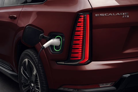 Dimmitt Cadillac of St. Petersburg in Pinellas Park FL