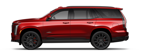 Dimmitt Cadillac of St. Petersburg in Pinellas Park FL