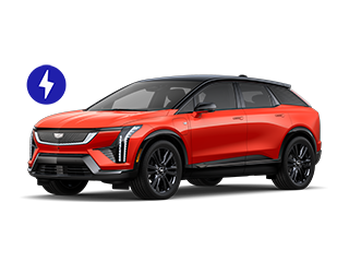 OPTIQ - Dimmitt Cadillac of St. Petersburg in Pinellas Park FL