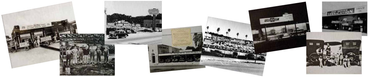Dimmitt Family History Tampa Bay