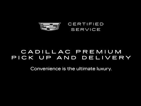 Premium Pickup and Delivery